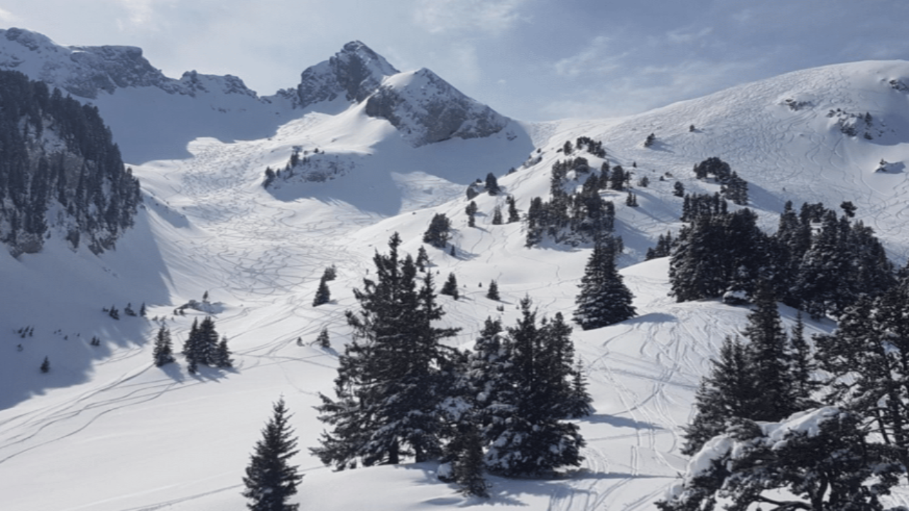 Une alternative au projet de fermeture de la Sambuy