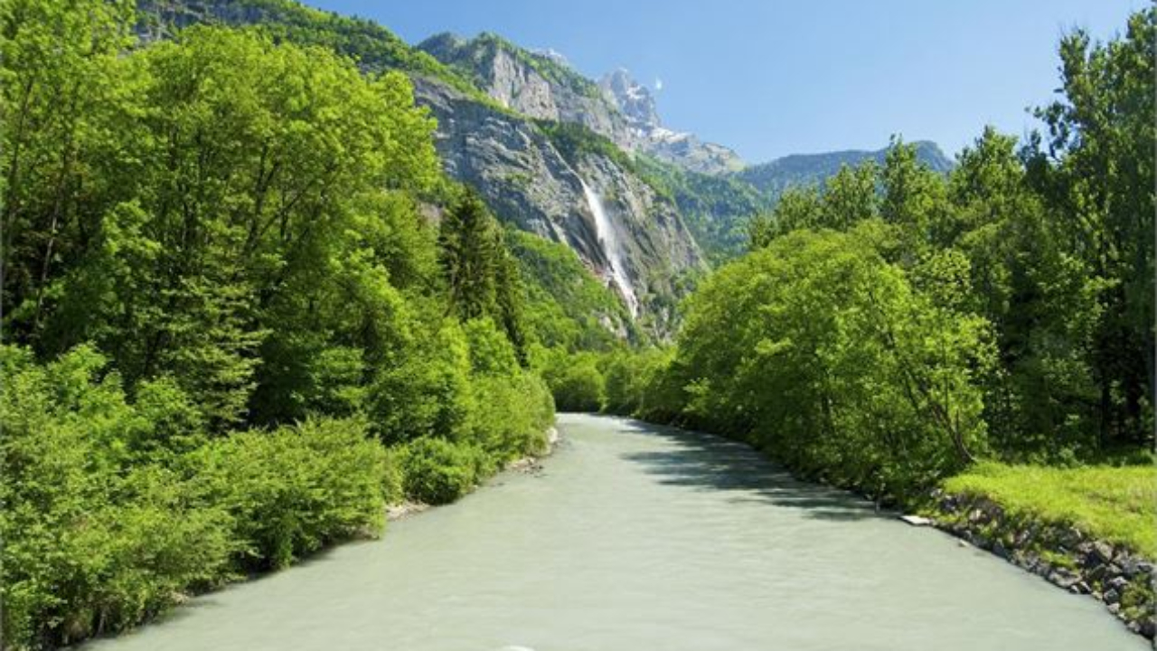 Une opération de déboisement des rives de l’Arve à Sallanches