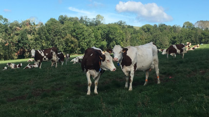 Ain : Nouvelles aides aux agriculteurs face aux al&eacute;as climatiques