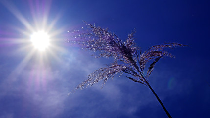 Aix-les-Bains : L'espace fra&icirc;cheur prolong&eacute; pendant la canicule