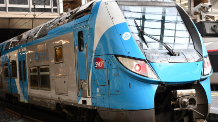 Auvergne-Rh&ocirc;ne-Alpes : Les TER gratuits pour les sapeurs-pompiers