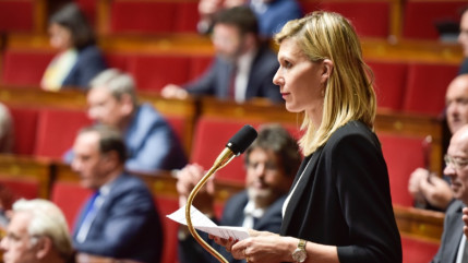Bientôt une Haute-Savoyarde à la vice-présidente de l'Assemblée nationale ? Bientôt une Haute-Savoyarde à la vice-présidente de l'Assemblée nationale ?