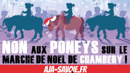 Chambéry : Non aux balades à poney sur le marché de noel Chambéry : Non aux balades à poney sur le marché de noel