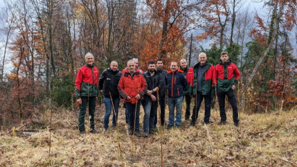 De nouveaux arbres pour la forêt publique de Sallanches