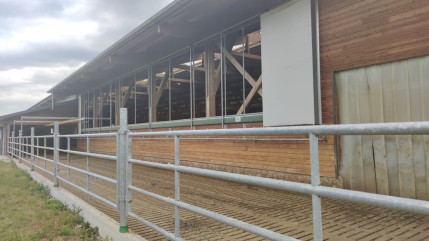 Dermatose nodulaire : Deux nouveaux foyers en Haute-Savoie Dermatose nodulaire : Deux nouveaux foyers en Haute-Savoie