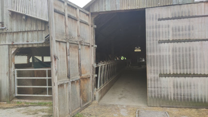 Dermatose nodulaire : L'Etat prêt à indemniser les éleveurs