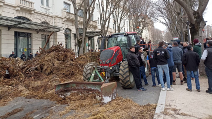 Dermatose nodulaire : les éleveurs appelés à manifester à Annecy pour obtenir l'arrêt de l’abattage des troupeaux