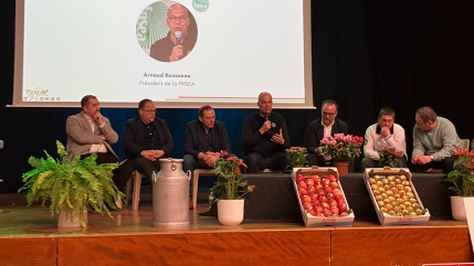 Dermatose : &laquo; Nous sommes favorables &agrave; une revaccination &raquo;