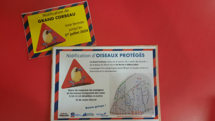 Des mesures de protections mises en place à Moûtiers en Savoie pour protéger des oiseaux Des mesures de protections mises en place à Moûtiers en Savoie pour protéger des oiseaux