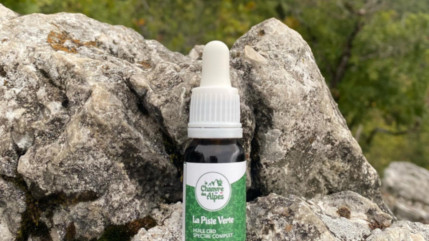 Du chanvre local en Haute-Savoie