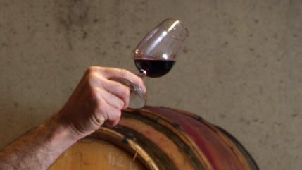 Faux Ch&acirc;teauneuf-du-Pape : la fraude m&egrave;ne &agrave; la saisie d&rsquo;un chalet de 1,6 million d&rsquo;euros &agrave; Meg&egrave;ve
