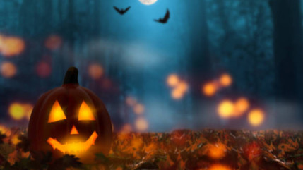 Halloween : Qu'est-il interdit de faire en Haute-Savoie ? Halloween : Qu'est-il interdit de faire en Haute-Savoie ?