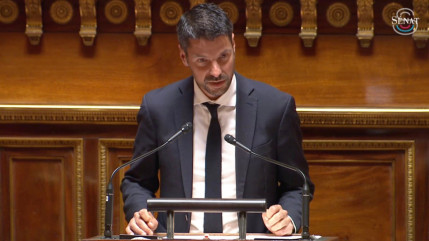 Hantavirus : Cyril Pellevat interpelle le gouvernement sur la coordination europ&eacute;enne