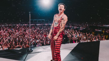 Harry Styles : sa harceleuse condamnée par la justice