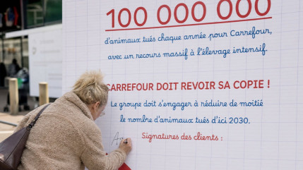 Haute-Savoie : L214 r&eacute;clame la moiti&eacute; moins d'animaux tu&eacute;s pour Carrefour