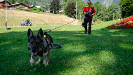 Haute-Savoie : Le SDIS annonce le décès de leur chienne de sauvetage, médaillée d'honneur en 2024