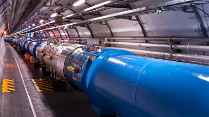 Haute-Savoie : pourquoi Marlioz se mobilise contre le projet du CERN ? Haute-Savoie : pourquoi Marlioz se mobilise contre le projet du CERN ?