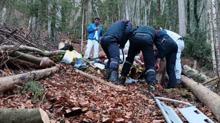 Haute-Savoie : un jeune b&ucirc;cheron &eacute;cras&eacute; par un arbre puis &eacute;vacu&eacute; dans un &eacute;tat critique