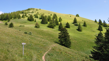 Haute-Savoie : un jeune homme chute de plus de 100 mètres à la Pointe de Sur Cou et décède