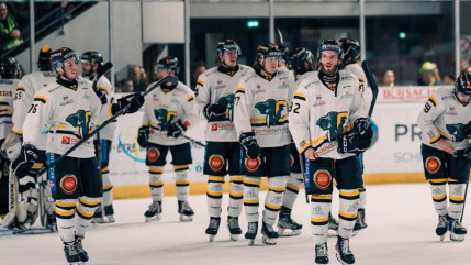 Hockey: les Elephants de Chambéry reçus en mairie Hockey: les Elephants de Chambéry reçus en mairie