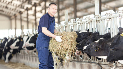 Haute-Savoie : le coup de gueule des agriculteurs sur la brucellose Haute-Savoie : le coup de gueule des agriculteurs sur la brucellose