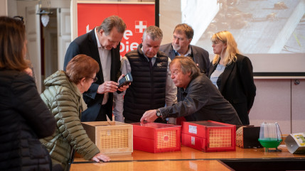 Le frelon asiatique bien présent en Haute-Savoie