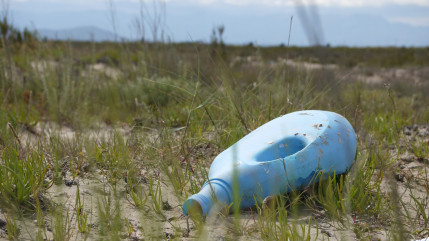 Le World Clean Up Day se prépare en Pays de Savoie