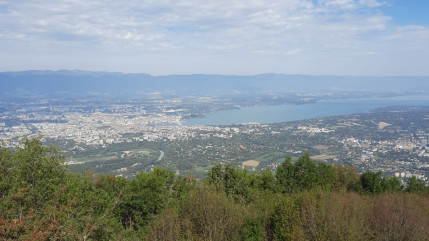 Législatives : voici les candidats du Genevois