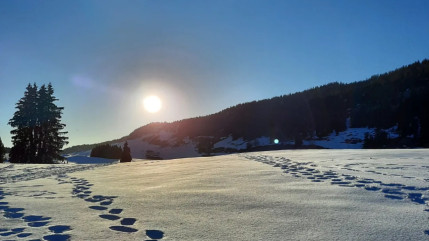 Les 6 spots pour faire de la raquette près d'Annecy Les 6 spots pour faire de la raquette près d'Annecy