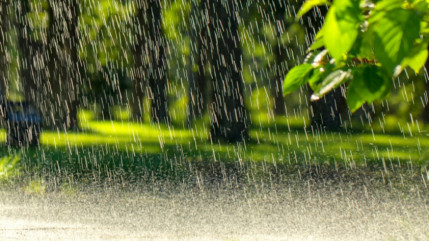 Pays de Savoie : Vigilance jaune inondation, avalanche et neige Pays de Savoie : Vigilance jaune inondation, avalanche et neige