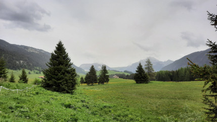 Plateau des Glières : la route réservée aux vélos mardi 26 août 2025