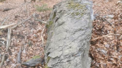 Sallanches : une op&eacute;ration de purge pour s&eacute;curiser une route