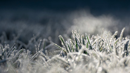 Savoie : Face au gel, les agriculteurs autoris&eacute;s au br&ucirc;lage