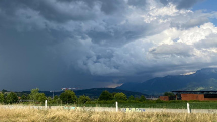 Savoie : Un arbre tombe sur la route, cinq blessés dont deux graves