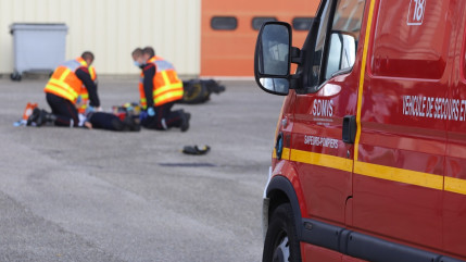 Scionzier : un enfant de 12 ans gri&egrave;vement bless&eacute; par deux chiens