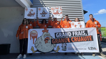 Seynod : Action de sensibilisation de L214 contre Grand Frais