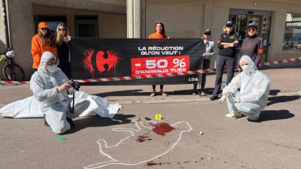 Une action choc en marge du marathon d&rsquo;Annecy : ce qu&rsquo;il s&rsquo;est pass&eacute;