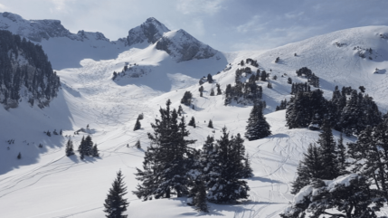 Une alternative au projet de fermeture de la Sambuy Une alternative au projet de fermeture de la Sambuy