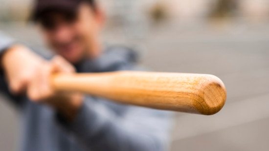 Annecy : un Kosovar battu à mort à coups de batte de baseball