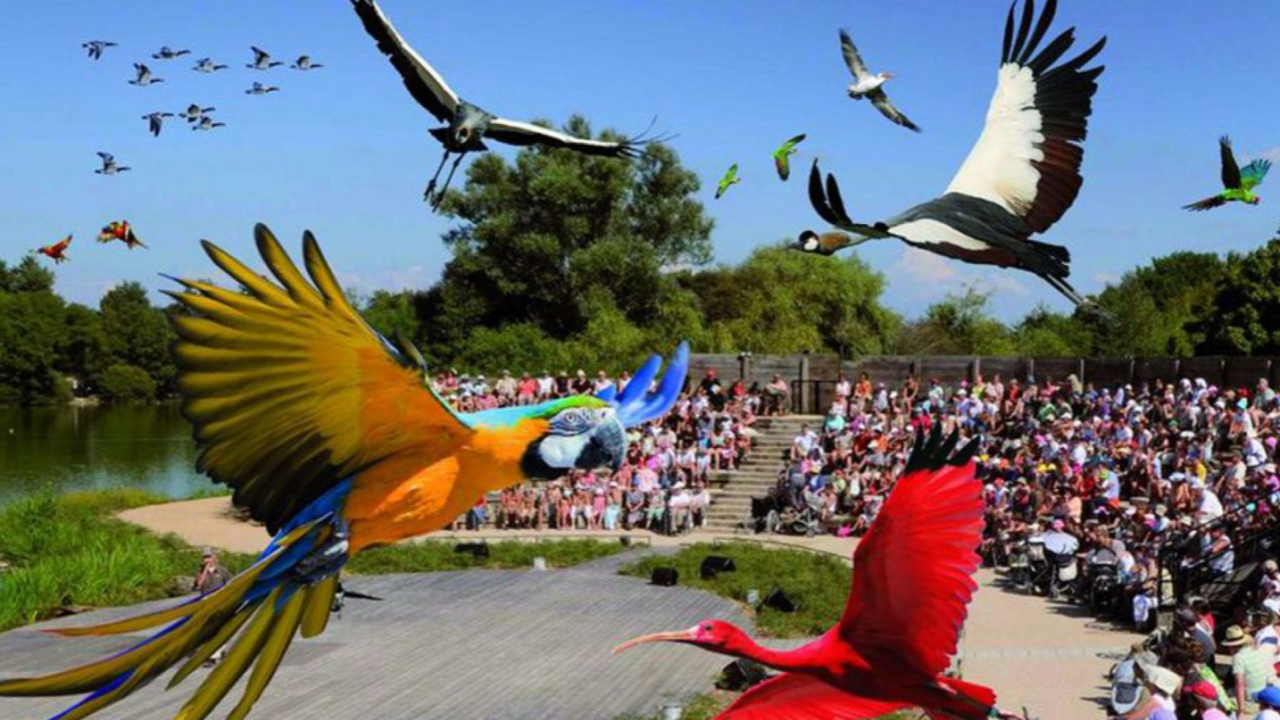 Évadez-vous en Auvergne Rhône-Alpes au Parc des Oiseaux !